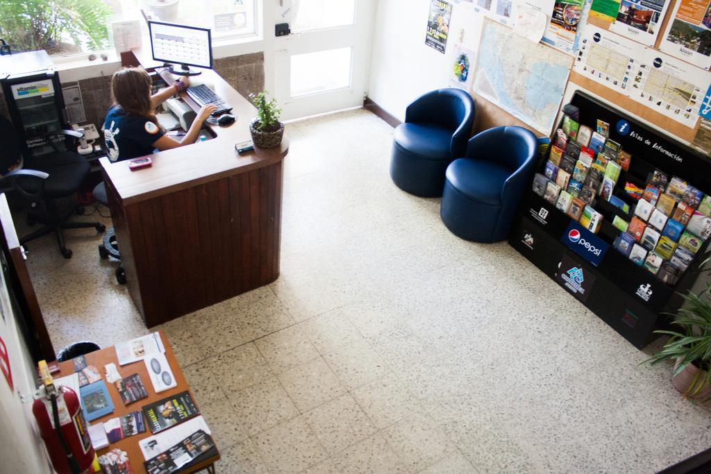 Hostel Hospedarte Chapultepec Guadalajara Luaran gambar
